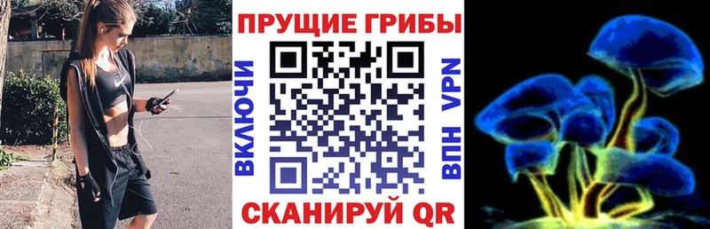 Псилоцибиновые грибы прущие грибы  Когалым 