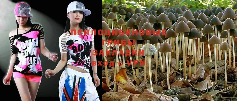 Галлюциногенные грибы Magic Shrooms  Когалым 